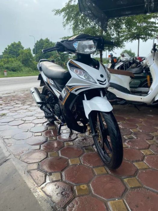 Bộ sưu tập xe đa dạng tại Lê Thành