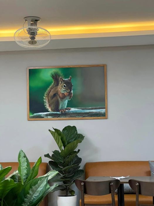 Bộ sưu tập tranh canvas đa phong cách tại Nguyên Bảo - Ảnh 3