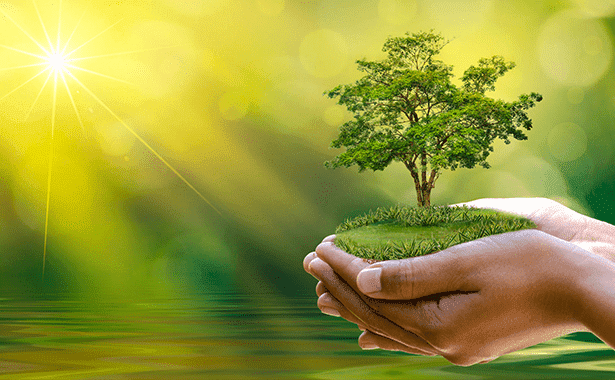 Hình ảnh minh họa đầy ý nghĩa (Nguồn: Internet)
