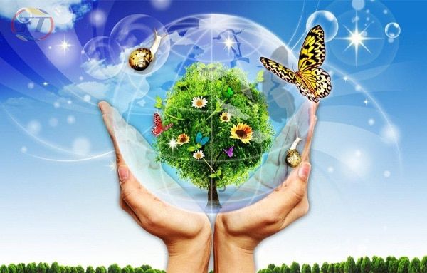 Hình ảnh minh họa sinh động (Nguồn: Internet)