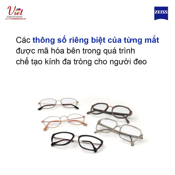 Mắt Kính Việt - Hình Ảnh 1