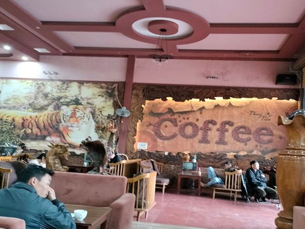 Không gian hiện đại và trẻ trung tại Cafe Thủy Tiên