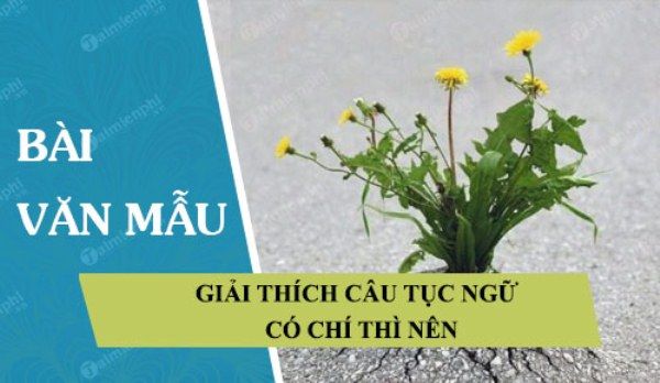 Ảnh minh họa (Nguồn internet) ảnh 1