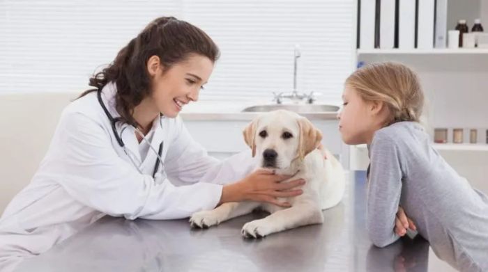 Hình ảnh phòng khám và đội ngũ bác sĩ tại Phòng Khám Thú Y Số 20