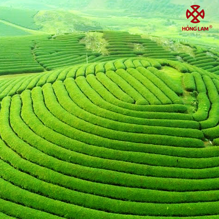 Tranh minh họa: Hình ảnh tình yêu vĩnh cửu (Nguồn: Internet)