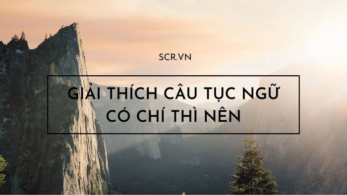 Ảnh minh họa (Nguồn internet) ảnh 1