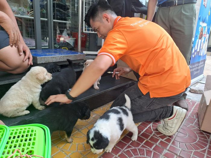 Hình ảnh đội ngũ bác sĩ tại Phòng Khám Thú Y Pet'Hop