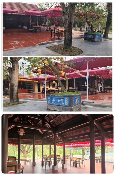 Những nguyên liệu tươi ngon chuẩn bị cho món bún bò đặc biệt
