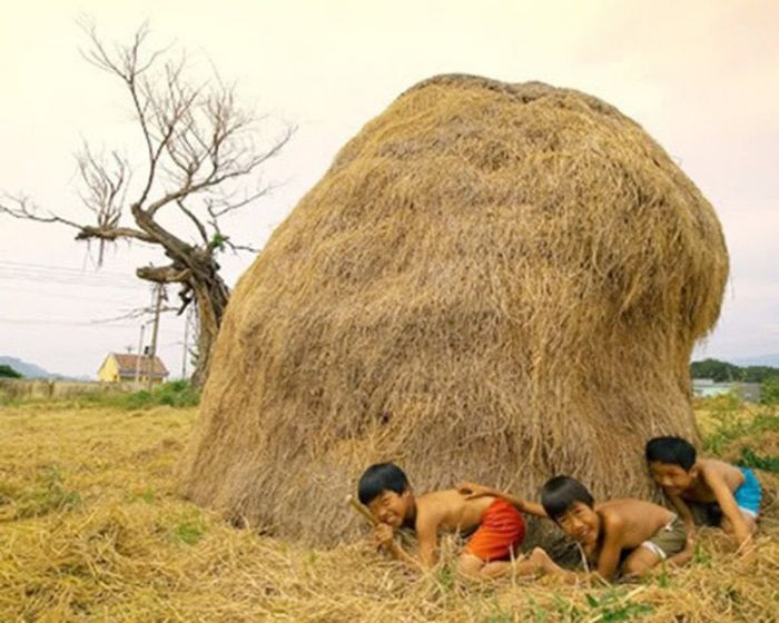 Hình ảnh sống động về trò chơi trốn tìm