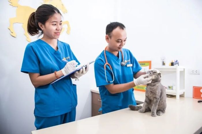 Không gian hiện đại tại Phòng Khám Thú Y Pet'Hop