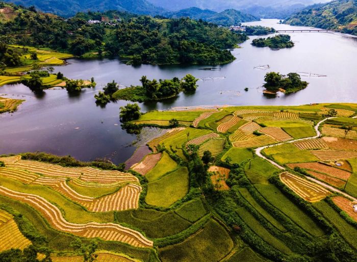 Hình ảnh minh họa sống động (Nguồn: internet) ảnh 1