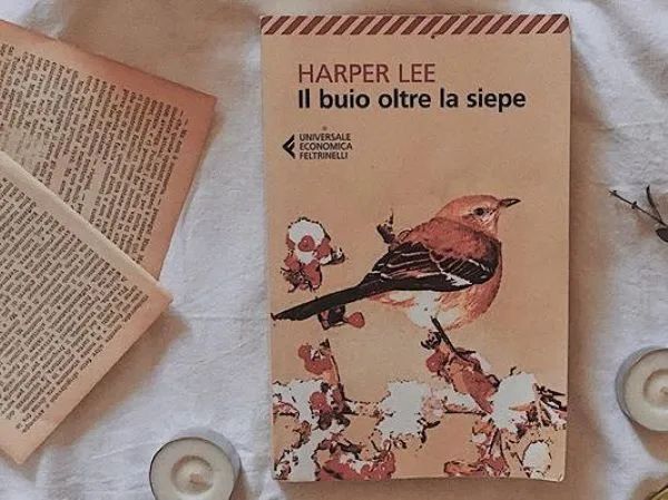Giết Con Chim Nhại (To Kill A MockingBird) ảnh 2 - Bức tranh nghệ thuật về tòa án Maycomb, nơi công lý và định kiến đối đầu trong trận chiến làm rung chuyển lương tâm nhân loại.