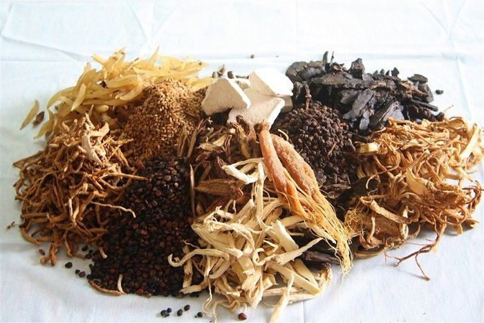 Hình ảnh thực tế Phòng Chẩn Trị Đông Y Hùng Thuốc Bắc