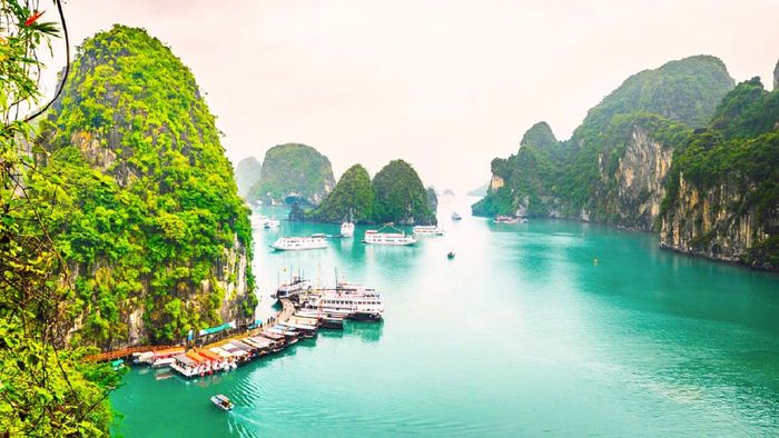 Bộ sưu tập hình ảnh tuyệt đẹp về Vịnh Hạ Long (Nguồn: Internet)