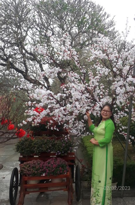 Chân dung nữ thi sĩ Trần Thị Ngọc Oanh
