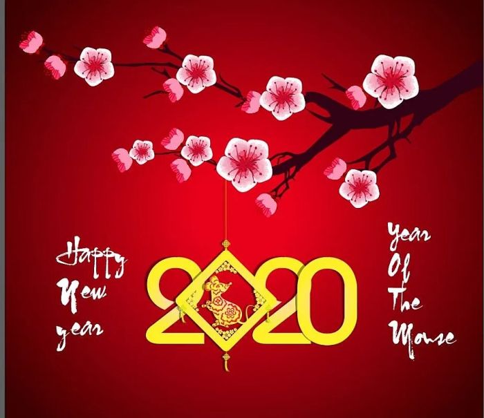 Hình ảnh minh họa (Nguồn: Sưu tầm) ảnh 1