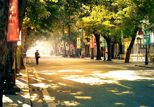 Hình ảnh minh họa: Khung cảnh mùa xuân với cây cối đâm chồi nảy lộc (Nguồn: Internet)