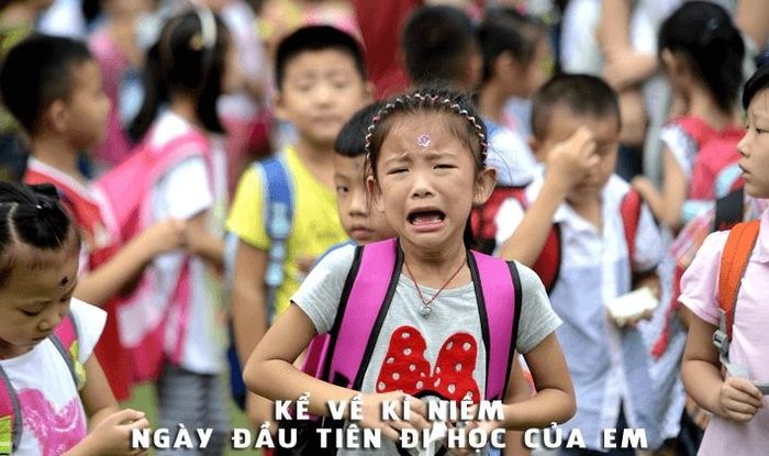 Minh họa hình ảnh (Nguồn internet) ảnh 1
