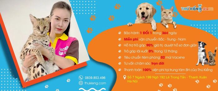 Không gian sang trọng tại Thú Kiểng - Chó Mèo Nhập Khẩu