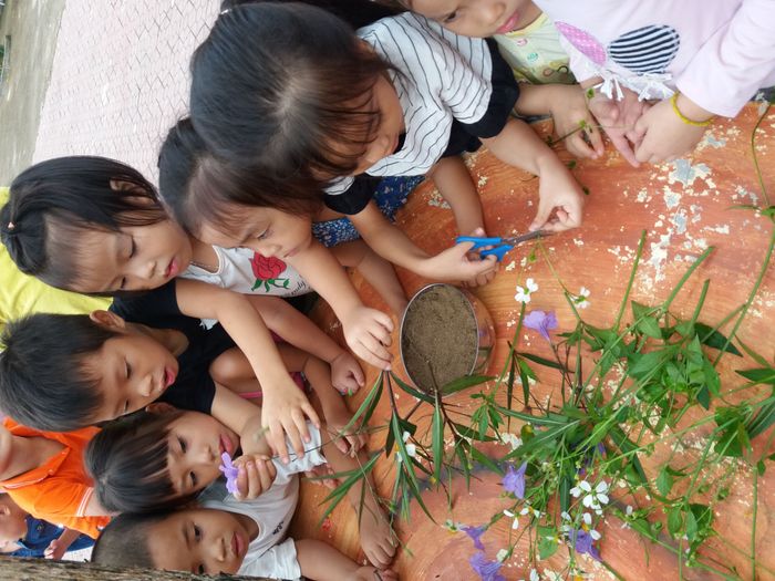 Góc nhìn đầu tiên về Trường Mầm non thị trấn Cẩm Khê - Nơi mỗi ngày đến trường là một ngày vui