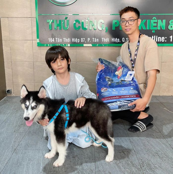 Hình ảnh những chú Husky khỏe mạnh tại Lê Trung Pet
