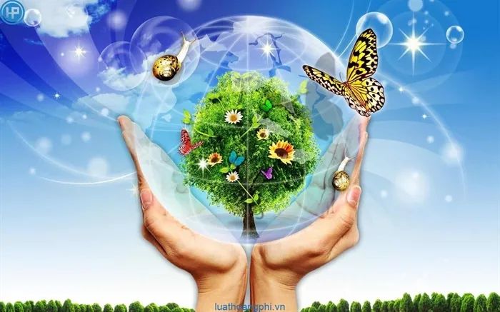 Hình ảnh minh họa sống động về hệ sinh thái (Nguồn: Sưu tầm)