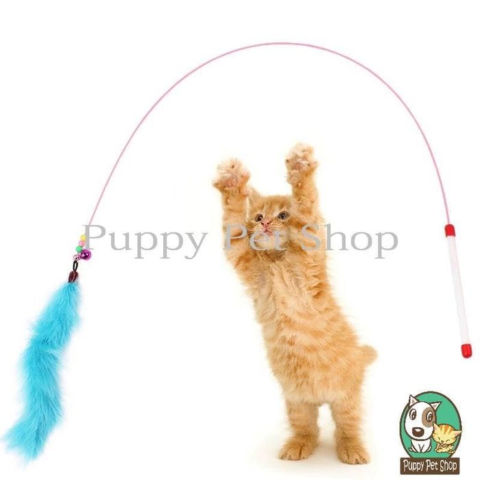 Hình ảnh không gian Puppy Pet Shop