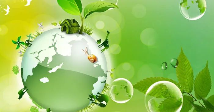 Hình ảnh minh họa mạng lưới sinh thái phức tạp (Nguồn: Tổng hợp)