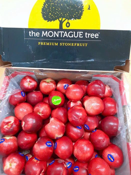 An68 Fruits – Hình ảnh 2