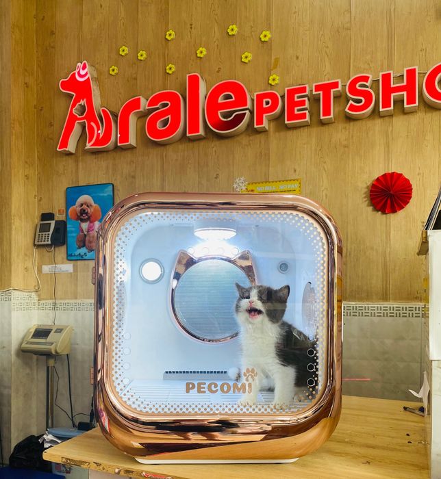 Không gian mua sắm sang trọng tại Arale Petshop - Siêu Thị Thú Cưng