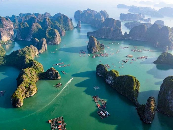 Bộ sưu tập ảnh đẹp về Vịnh Hạ Long (Nguồn: Internet)