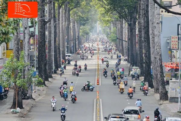 Ảnh minh họa (Nguồn internet) ảnh 1