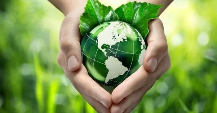 Hình ảnh minh họa mạng lưới sinh thái phức tạp (Nguồn: Tổng hợp)