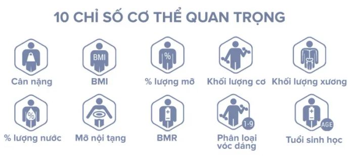 Trải nghiệm thực tế cân Tanita BC-313 - Hiển thị đa chỉ số sức khỏe trên màn hình rộng