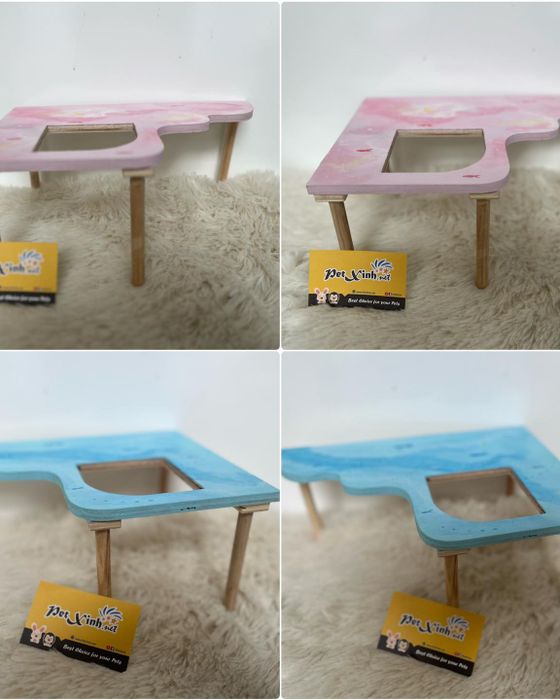 PetXinh - Ảnh 1: Góc nhìn chân thực về thiên đường thú cưng đáng yêu
