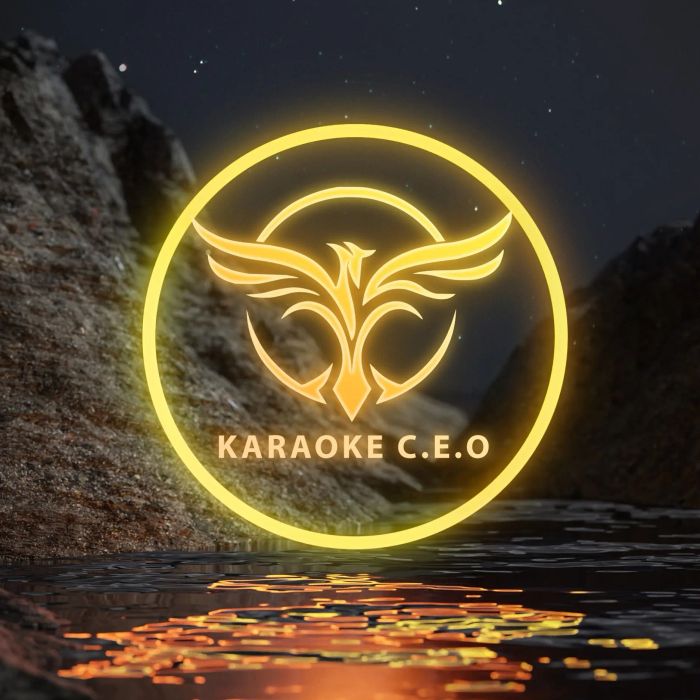 Hình ảnh không gian sang trọng tại Karaoke CEO