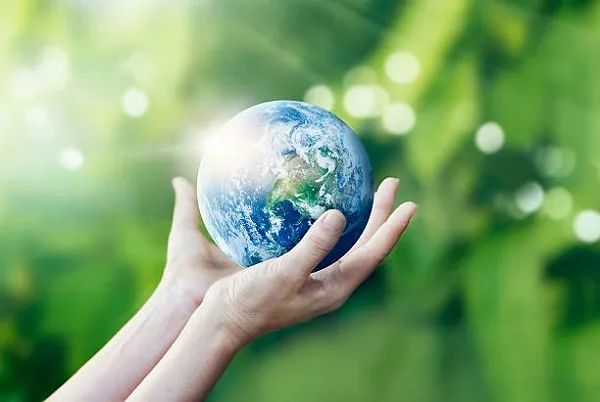 Hình ảnh minh họa sinh động về hệ sinh thái (Nguồn: Tổng hợp từ Internet)