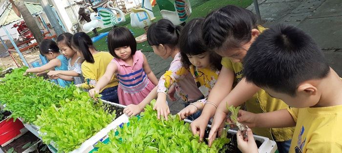 Trường Mầm Non Hoa Cúc - Môi Trường Tự Do Sáng Tạo Cho Trẻ