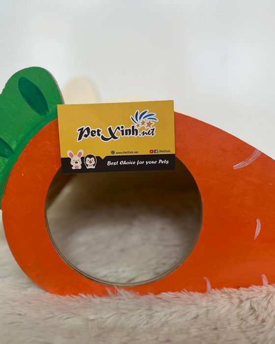 PetXinh ảnh 2: Khung hình sống động về thế giới thú cưng đáng yêu tại cửa hàng