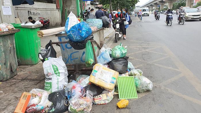 Hình ảnh minh họa sống động (Nguồn: Internet) - Ảnh 1