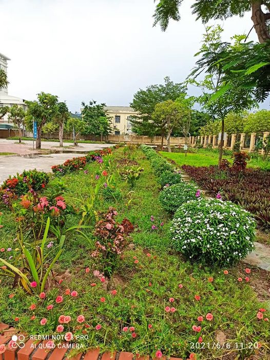 Khám phá hình ảnh đầu tiên về Trường THCS Hoàng Diệu - Thành phố Thái Bình