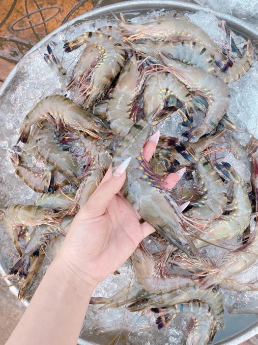 Các loại hải sản đa dạng được bày bán tại Vựa Hải Sản Thuý
