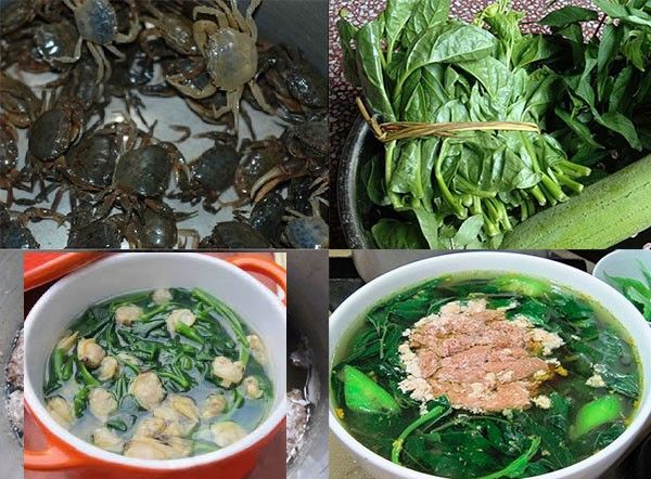 Ảnh minh họa chi tiết lá và hoa mồng tơi (Nguồn internet)