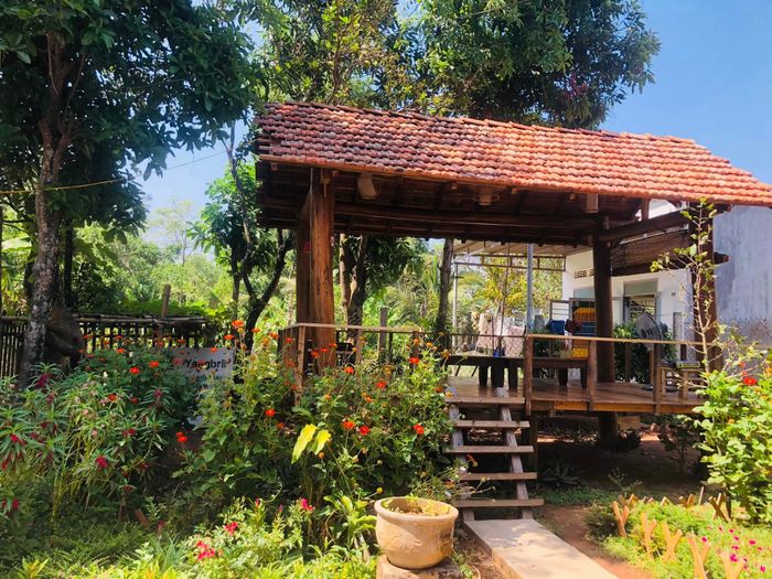 Cơm Niêu Buôn Lê - Nghệ thuật trình bày độc đáo