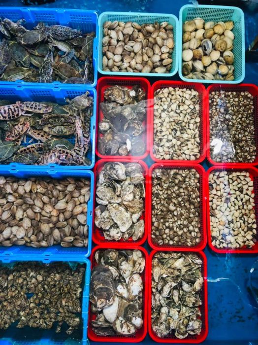 Không gian trưng bày hải sản phong phú tại Vựa Hải Sản Kha Seafoods