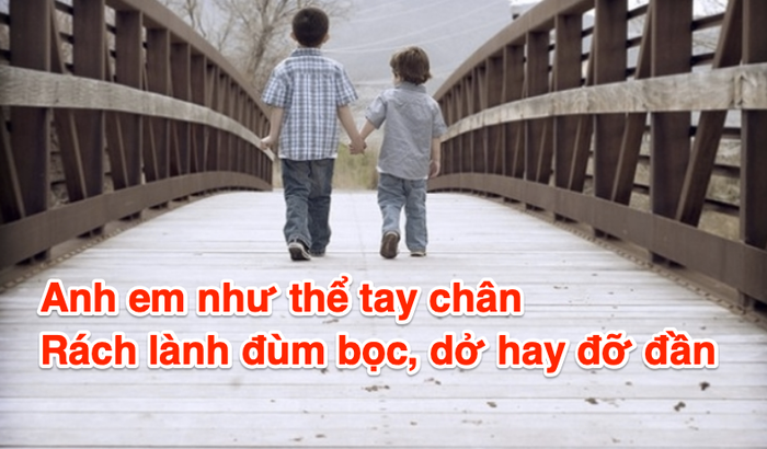 Hình ảnh minh họa tình cảm anh em (Nguồn: Internet)