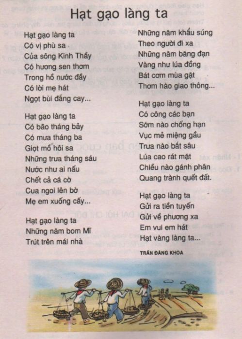 Hình ảnh hạt gạo quê hương
