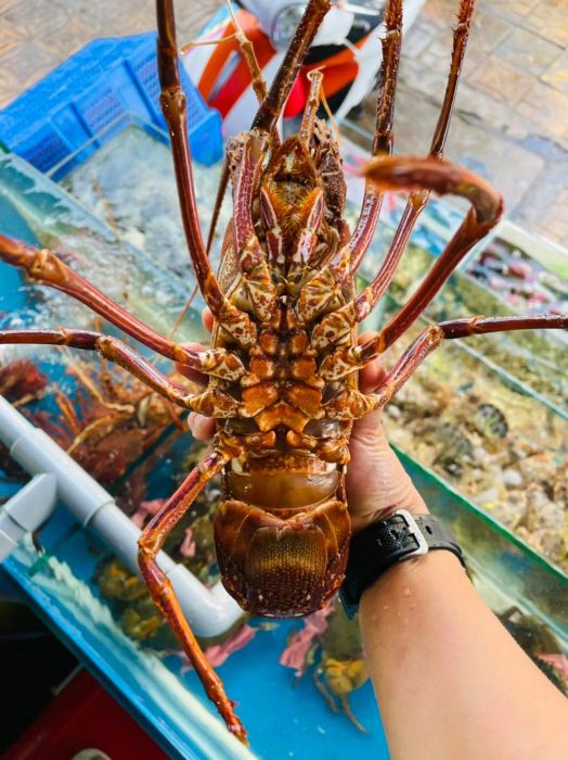 Không gian bày bán hải sản tươi sống tại Vựa Hải Sản Kha Seafoods
