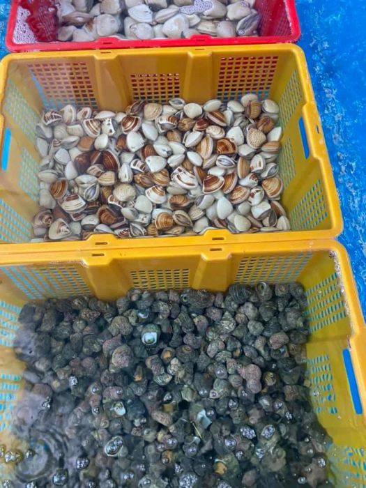 Không gian trưng bày hải sản phong phú tại Vựa Hải Sản Lộc