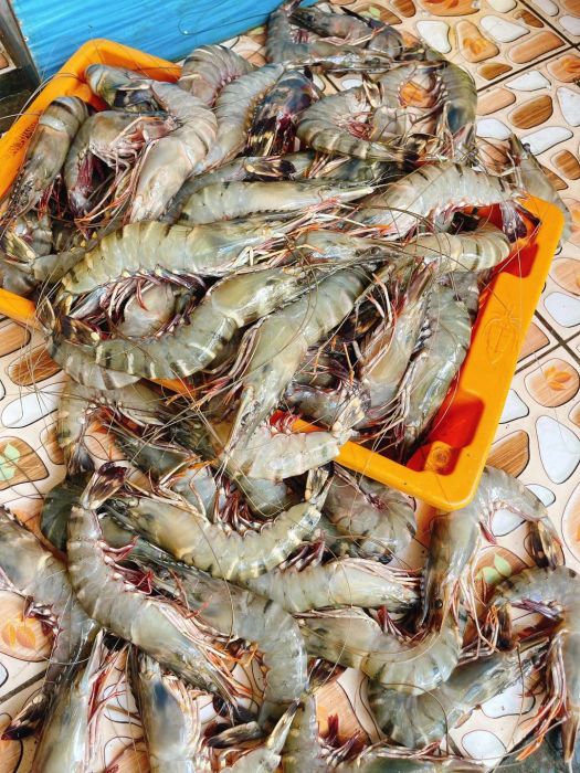 Không gian bày bán hải sản tươi sống tại Hải Sản Định Cua